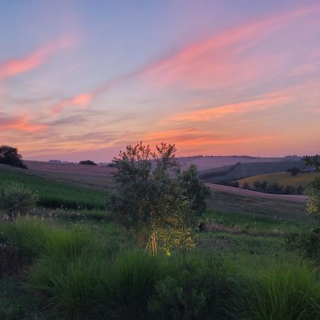 Villa Saltregna Cervidone エクステリア 写真
